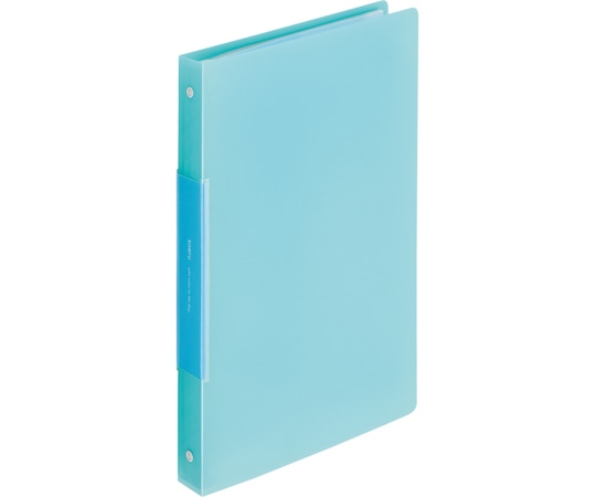 LIHITLAB SOERU クリヤーブック ポケット交換タイプ A4S型30穴 アイスブルー N8501-14 1冊(ご注文単位1冊)【直送品】