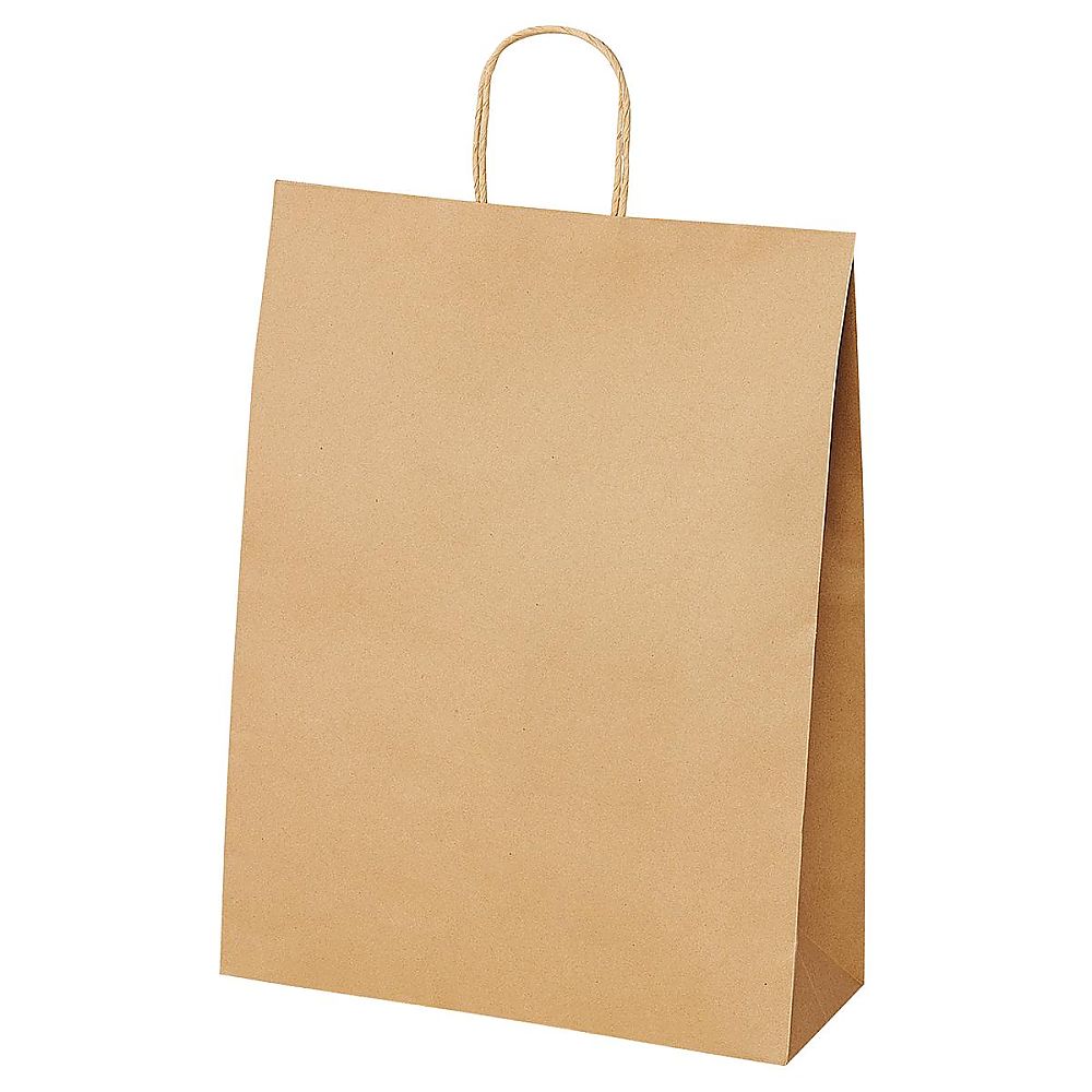 アズワン 手提紙袋 丸ヒモ 再生紙タイプ 幅38×奥行15×高さ50cm 200枚 61-812-49-6 1セット（ご注文単位1セット）【直送品】