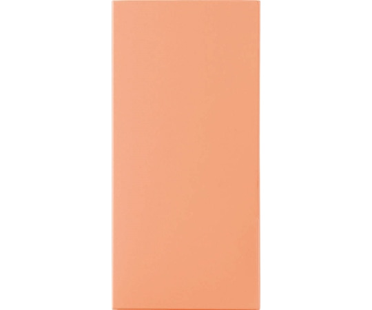 ライオン事務器 カラーPホルダー カラーポケットホルダー(紙製) PH-63C(D) 1冊(ご注文単位1冊)【直送品】