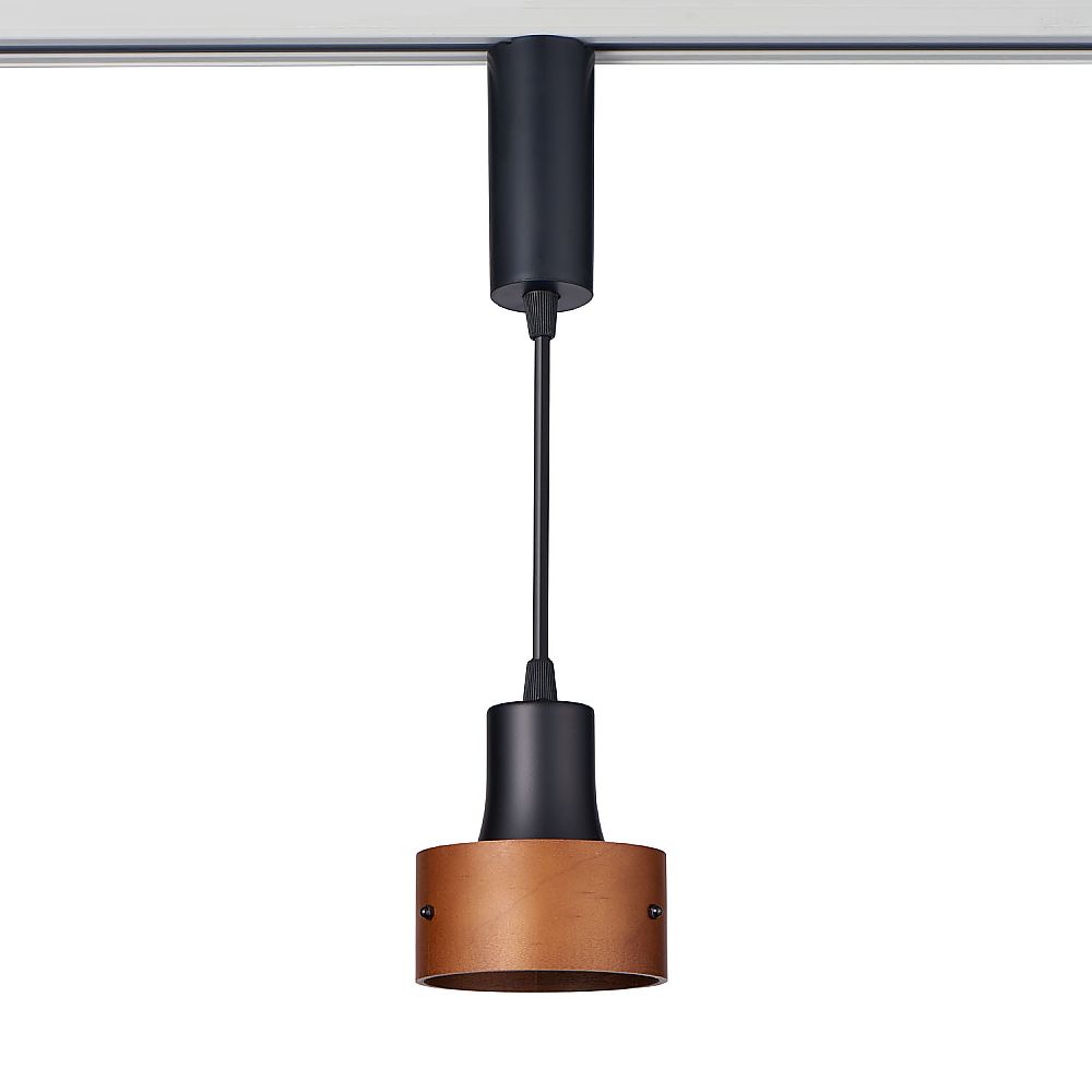 ELPA LEDライティングバー用ライト 220lm 昼光色 LRS-PW01D(BK) 1個(ご注文単位1個)【直送品】