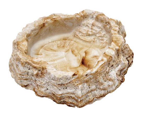 スドー レプティボウル2 SF RX-145 1個（ご注文単位1個）【直送品】