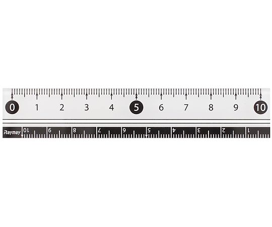 レイメイ藤井 白・黒 直定規 10センチ 白 APJ128W 1本(ご注文単位1本)【直送品】