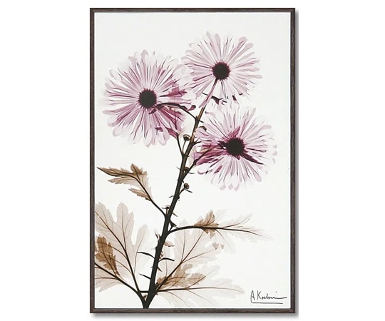 ユーパワー X RAY キャンバスアート「ウィンドミル(Sサイズ)」 XR-03807 1個(ご注文単位1個)【直送品】