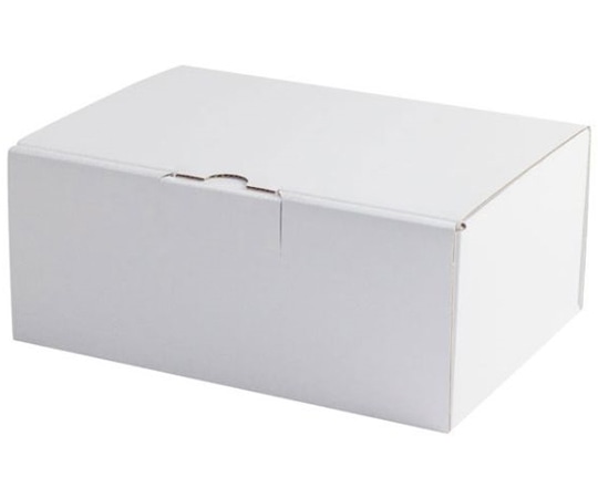 ヤマニパッケージ 贈答箱 はっ水宅配箱 9cm 100枚 EE-91W 1ケース（ご注文単位1ケース）【直送品】