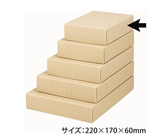 ヤマニパッケージ 贈答箱 ナチュラル60 極小 100枚 16-60 1ケース（ご注文単位1ケース）【直送品】
