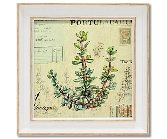 ユーパワー ミニゲル アートフレーム アンジェラ スターリング｢ポーチュラカリア｣ AS-02047 1個（ご注文単位1個）【直送品】