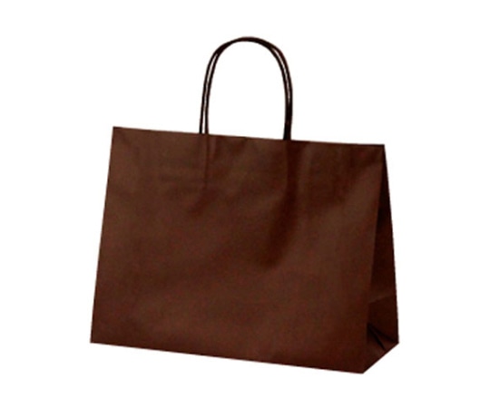 ベルベ 紙袋 マットバッグ SY ブラウン 100枚 1763 1ケース（ご注文単位1ケース）【直送品】