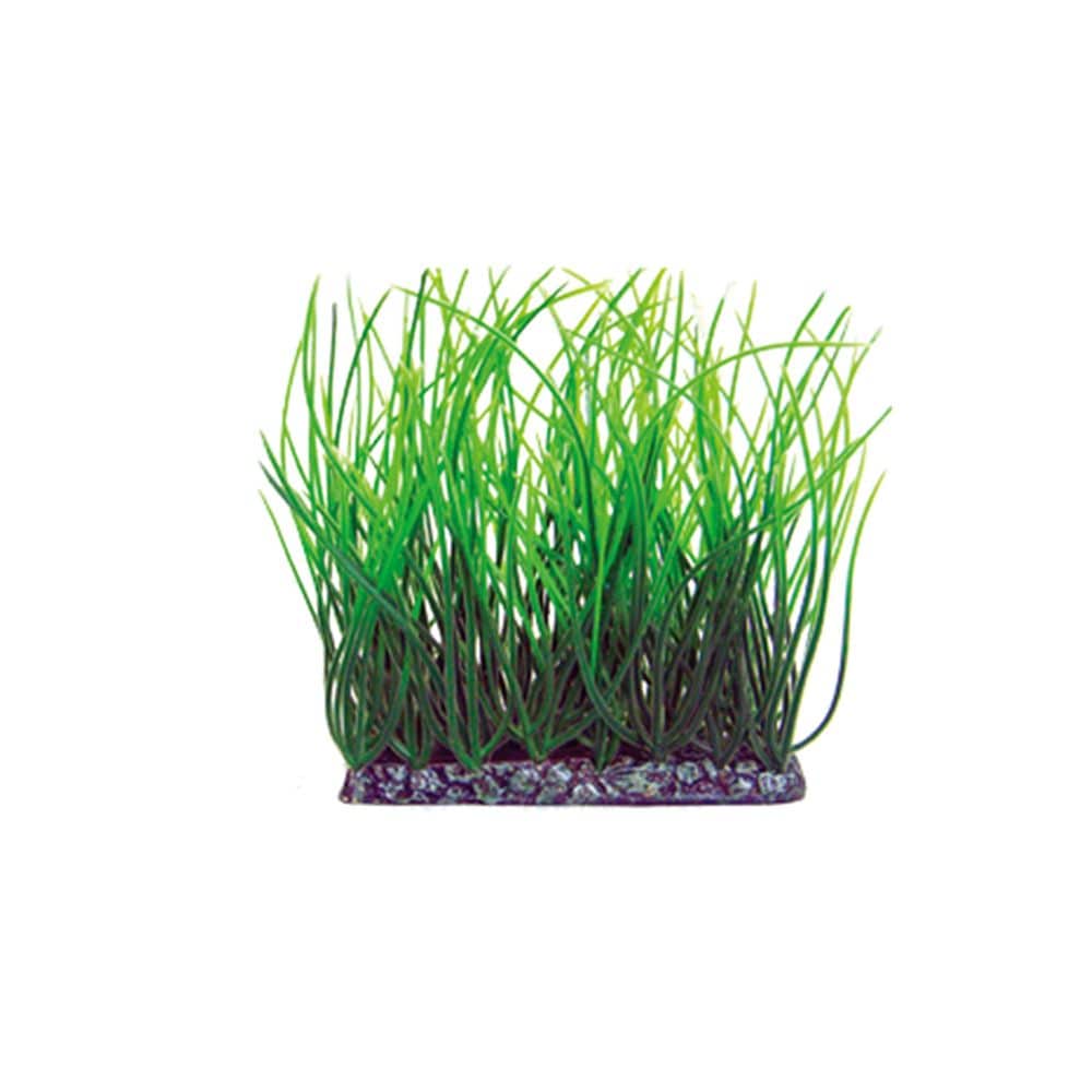 マルカンニッソー事業部 アクアティックプランツ 前景L-3 NAP-442 1個（ご注文単位1個）【直送品】