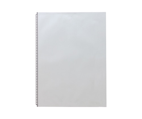 LIHITLAB P.P.クリヤーポケット 1組(10枚入) N1479 1組(ご注文単位1組)【直送品】