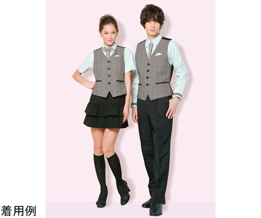 カーシーカシマ AMUS-NET ベスト 211-5 M AAH211 1枚（ご注文単位1枚）【直送品】