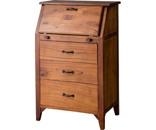 東谷 ティンバー ライティングチェスト ブラウン PM-317 1個（ご注文単位1個）【直送品】