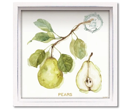 ユーパワー ロハス ミニアートフレーム リサ オーディット｢マイ グリーンハウス フルーツ1｣ LA-01203 1個（ご注文単位1個）【直送品】