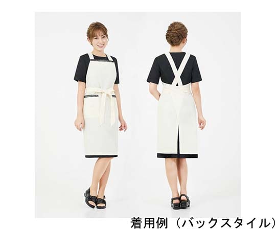 CML LDLレースラインエプロン クリームxブラック T100365 1着（ご注文単位1着）【直送品】