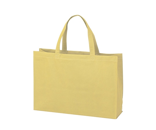 アズワン 不織布バッグ 角底中横 厚タイプ ベージュ 1箱(100枚入) LC0100AE00 1箱(ご注文単位1箱)【直送品】