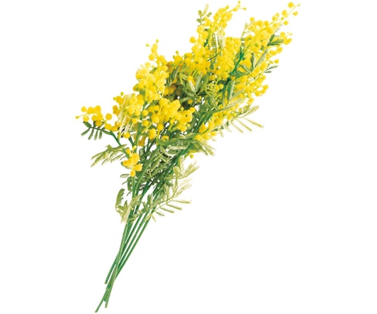 アズワン ミモザスプレー 12本 33-17-10-1 1本(ご注文単位1本)【直送品】