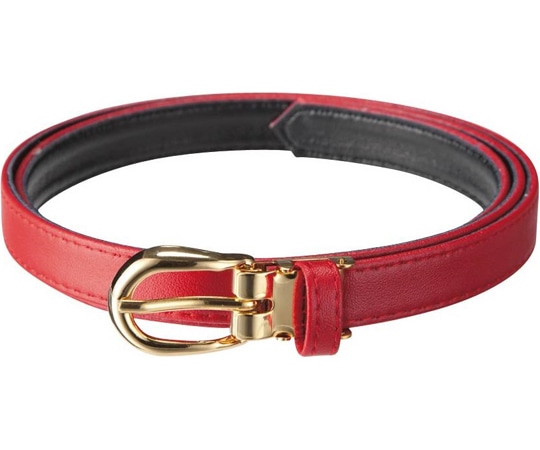 カーシーカシマ AMUS-NET ベルト 282-1 レッド AAZ282 1本（ご注文単位1本）【直送品】