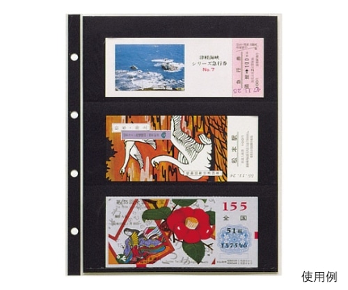 テージー コレクションアルバム CA-303S 1冊(ご注文単位1冊)【直送品】