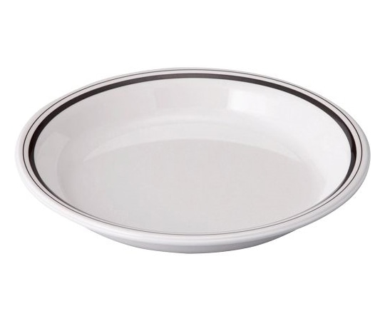 Daiwa 25cmディーププレート アースボーダー OD-40-EB 1個(ご注文単位1個)【直送品】