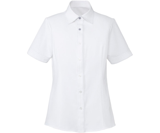 カーシーカシマ ENJOY 半袖シャツブラウス CLEAR BLOUSE ブルー×ホワイト 17号 ESB494 1枚（ご注文単位1枚）【直送品】