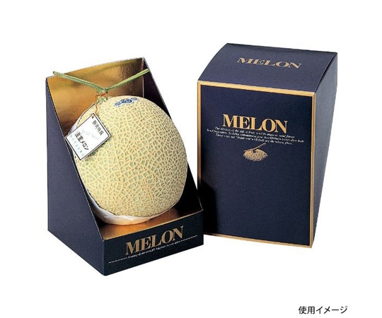 ヤマニパッケージ 青果用贈答箱 メロン・マチェール 100枚 L-348 1ケース（ご注文単位1ケース）【直送品】