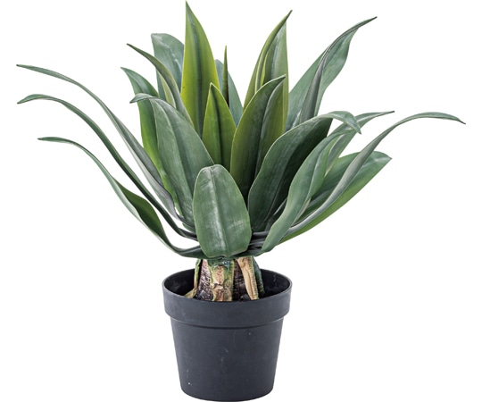 東谷 フェイクグリーン アガベ グリーン GRN-14 1個(ご注文単位1個)【直送品】