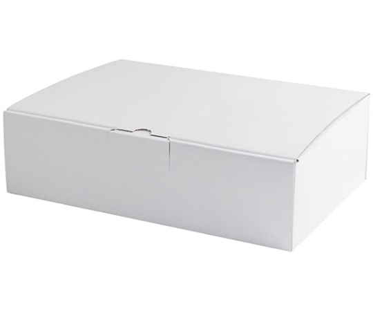 ヤマニパッケージ 宅配箱 はっ水宅配箱 9cm 100枚 EE-94W 1ケース（ご注文単位1ケース）【直送品】