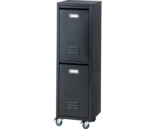 東谷 ラルド ダストボックス ブラック TPN-36BK 1個(ご注文単位1個)【直送品】