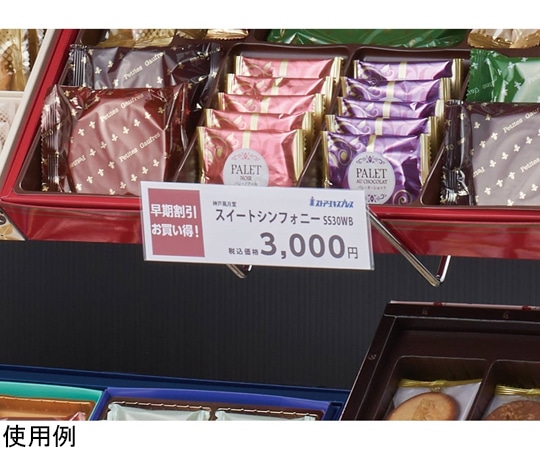 アズワン 傾斜ディスプレイフック 30°プライスホルダー 10枚入 61-806-42-2 1セット（ご注文単位1セット）【直送品】