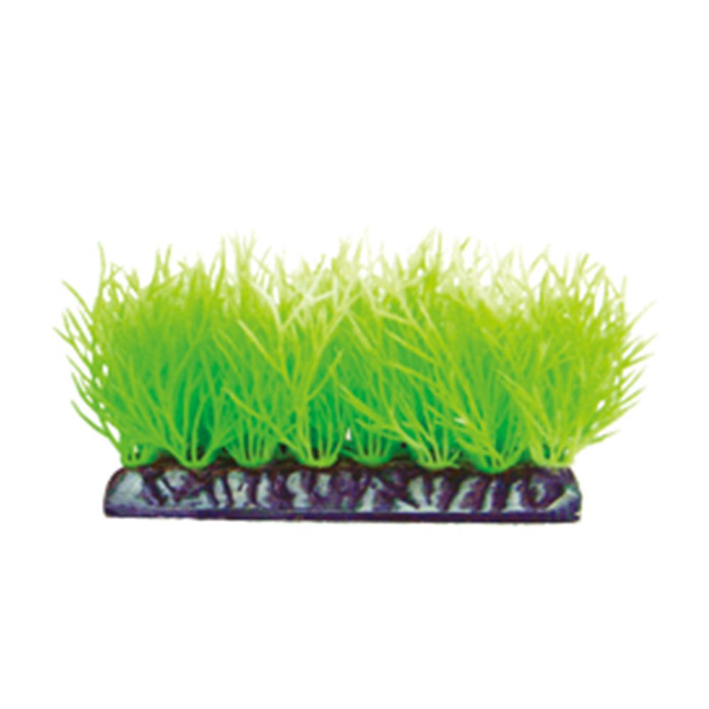 マルカンニッソー事業部 アクアティックプランツ 前景S-2 NAP-401 1個（ご注文単位1個）【直送品】