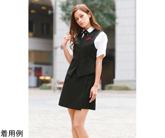 カーシーカシマ AMUS-NET ラップキュロット LL AAR227 1枚（ご注文単位1枚）【直送品】