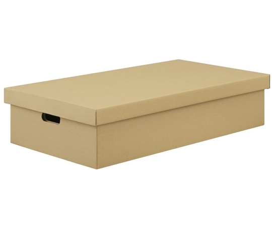 アイリスオーヤマ 段ボール収納ケース2枚セット クラフト DB-700 1箱（ご注文単位1箱）【直送品】