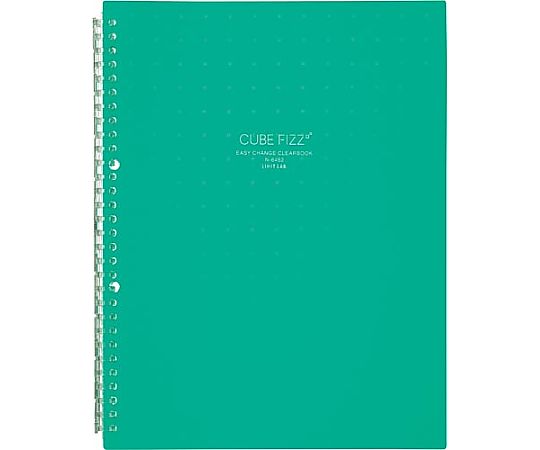 LIHITLAB イージーチェンジ・クリヤーブック グリーン N6482-7 1冊(ご注文単位1冊)【直送品】