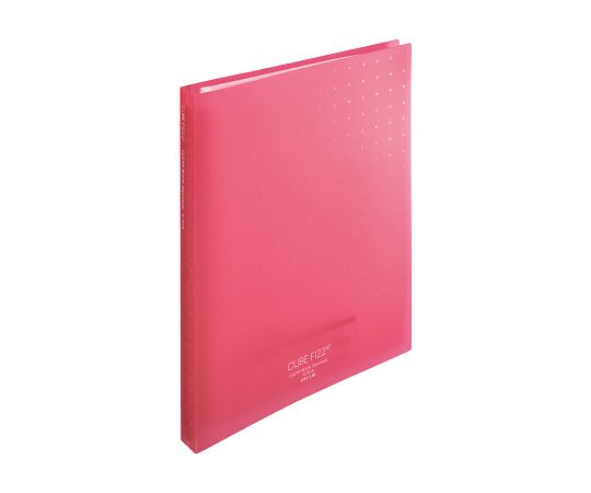 LIHITLAB CUBE FIZZクリヤーブック(ポケット交換タイプ) ポケット30枚 ピンク N7016-12 1冊(ご注文単位1冊)【直送品】