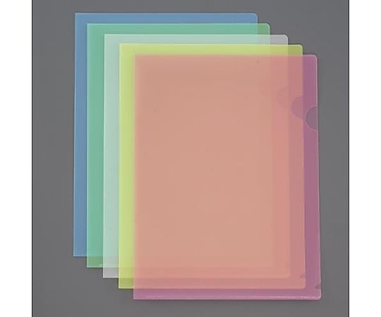 ナカバヤシ A4/310x220mm クリアホルダー(5色入/30枚 EA762CB-306 1式(ご注文単位1式)【直送品】