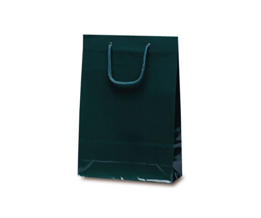 ベルベ 紙袋 ナイスバック ダークグリーン 50枚 1162 1ケース（ご注文単位1ケース）【直送品】