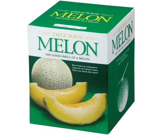 ヤマニパッケージ 青果用贈答箱 デリシャスメロン 1個入 100枚 L-2111 1ケース（ご注文単位1ケース）【直送品】