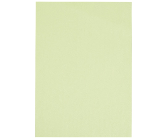 ジョインテックス マルチカラーペーパー<特厚口> A3 うぐいす 500枚入 A284J-3 1冊(ご注文単位1冊)【直送品】