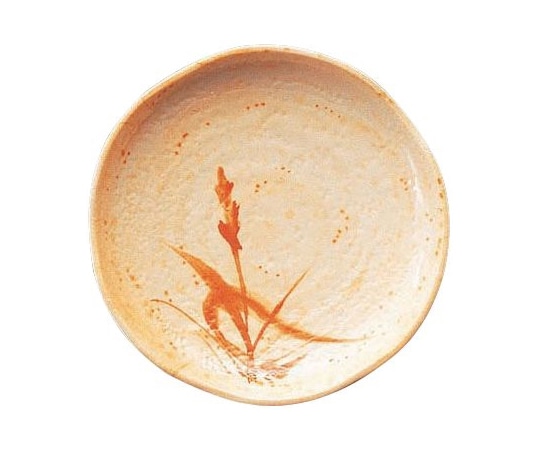 Daiwa 和皿 大 秋草 MD-12-A 1個(ご注文単位1個)【直送品】