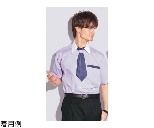 カーシーカシマ AMUS-NET シャツブラウス 242-7 パープル 3L ASY242 1枚（ご注文単位1枚）【直送品】