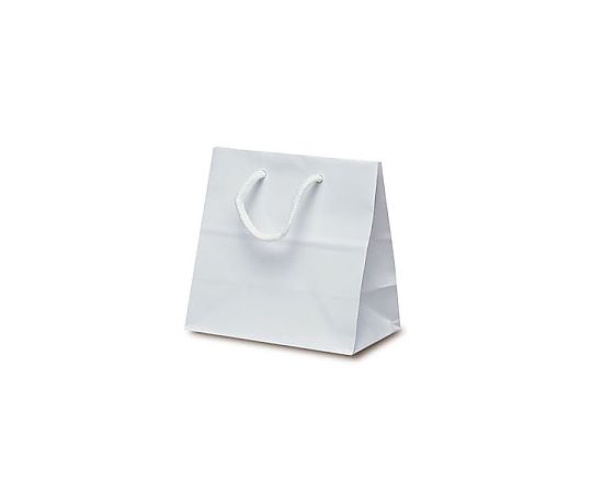 ベルベ 紙袋 リトルバック ホワイト 100枚 1522 1ケース（ご注文単位1ケース）【直送品】