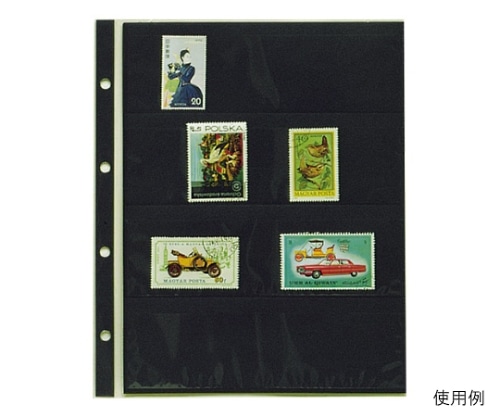 テージー コレクションアルバム CA-304S 1冊(ご注文単位1冊)【直送品】