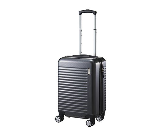 エース WorldTraveler ナタドラ 31L 05611-09 1個(ご注文単位1個)【直送品】