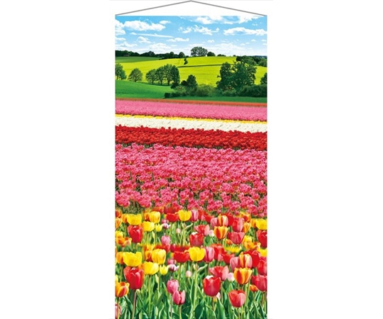 アズワン タペストリー チューリップ畑 90×180cm 防炎加工 23-26-8-1 1個（ご注文単位1個）【直送品】