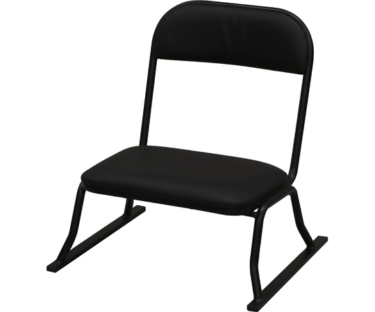 エイ・アイ・エス 楽座椅子 ロータイプ ブラック RCL-100 1脚（ご注文単位1脚）【直送品】