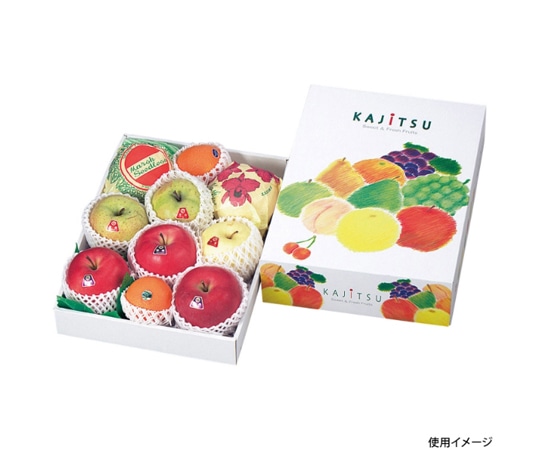 ヤマニパッケージ 贈答箱 果実パレット 大 50枚 L-436 1ケース（ご注文単位1ケース）【直送品】