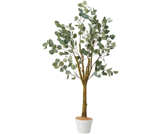 アズワン ユーカリ(フェイクグリーン 人工樹木)135cm 61-806-83-2 1個(ご注文単位1個)【直送品】