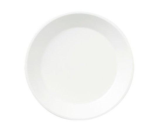 Daiwa 15cmプレート ボーンホワイトMT BY-53-BWM 1個(ご注文単位1個)【直送品】