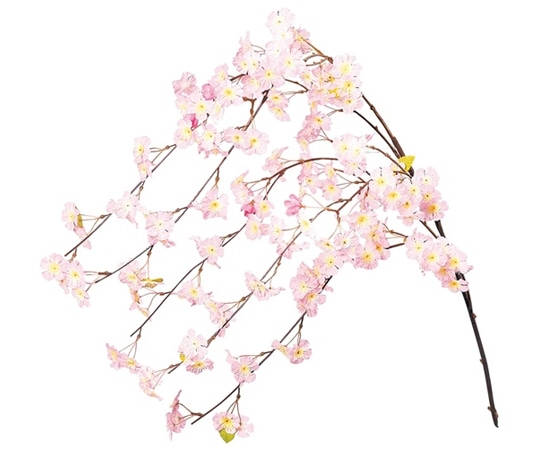 アズワン シダレ桜 135cm 3本組 23-4-8-1 1セット(ご注文単位1セット)【直送品】