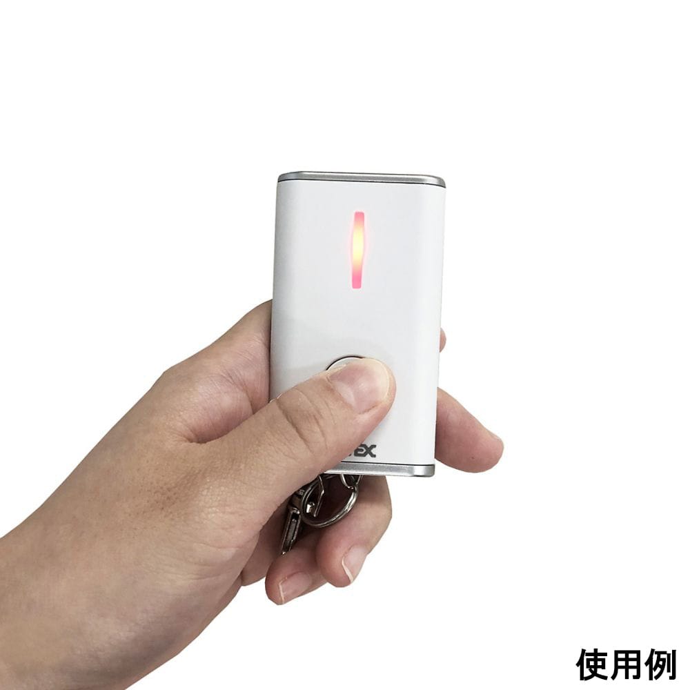 リーベックス 増設用 キーホルダー型呼び出しボタン XP10K 1個(ご注文単位1個)【直送品】
