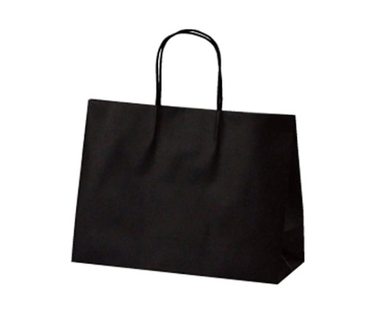 ベルベ 紙袋 マットバッグ SY ブラック 100枚 1762 1ケース（ご注文単位1ケース）【直送品】